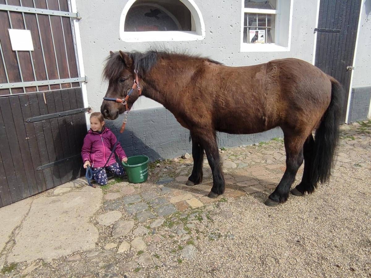 Pferdepension Jaeger Markranstädt Esterno foto