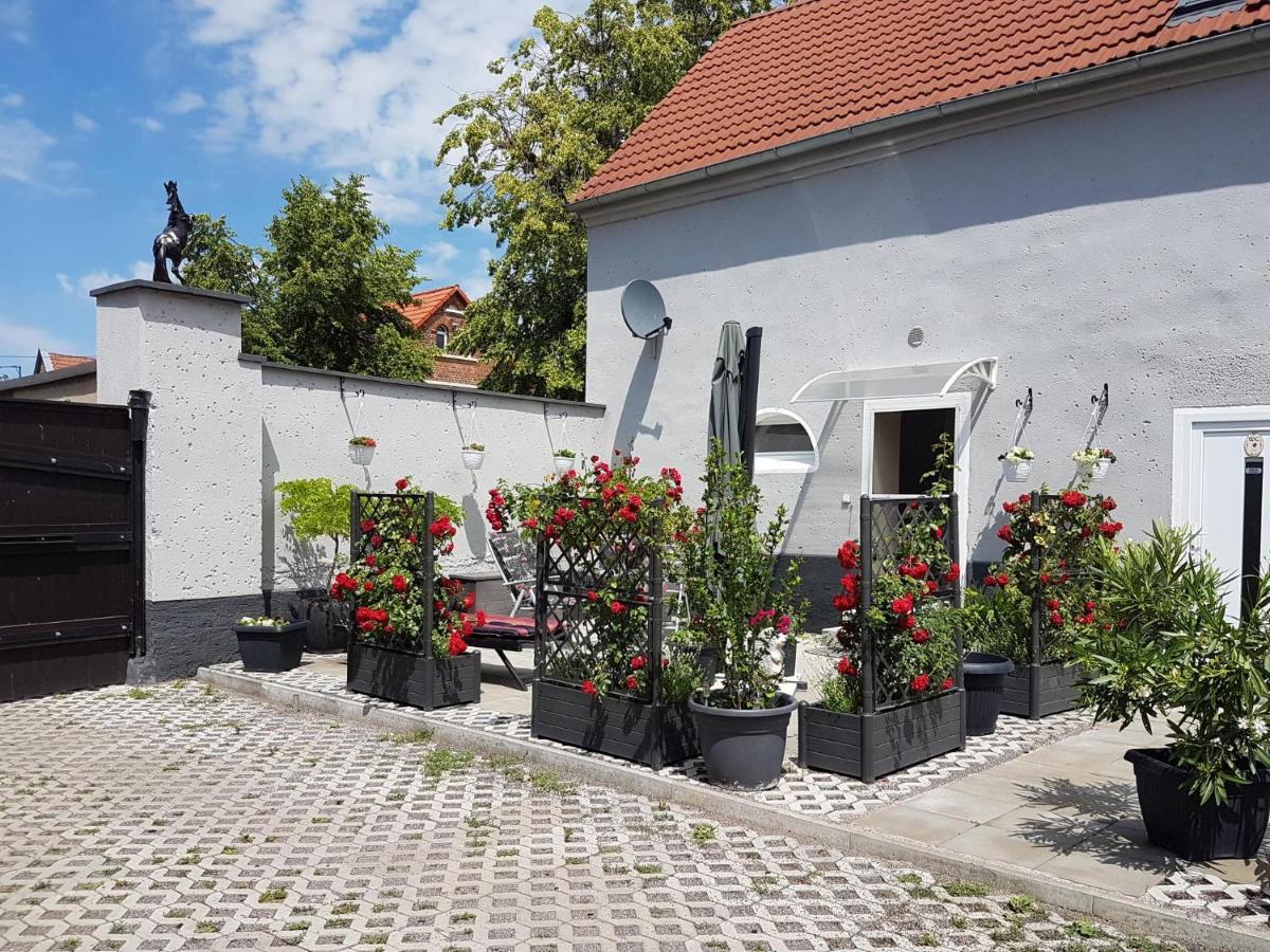 Pferdepension Jaeger Markranstädt Esterno foto